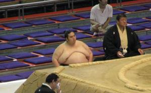 Big Sumo Waiting